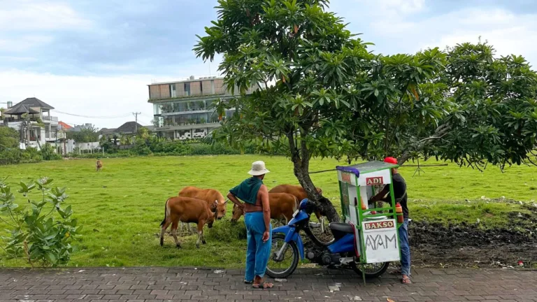 Canggu Travel Guide