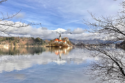 Lake bled in Slovenia! What to do at Lake Bled?