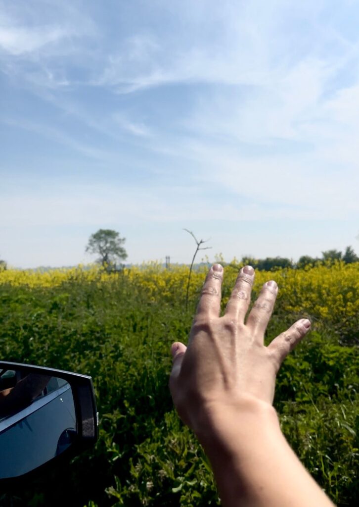 driving in france