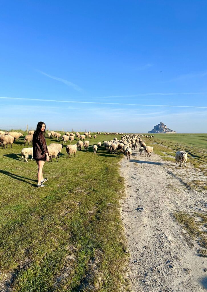 Visit Mont Saint Michel from Paris